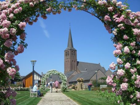 Lottum NL : Rosenhof, im Hintergrund die St. Gertrudiskirche